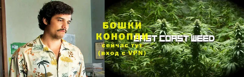 нарко площадка наркотические препараты  Черногорск  Канабис Ganja 